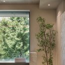 분당수내365의원 이미지