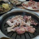닭마루삼계탕&마루샤브샤브 이미지