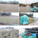 유달초율도분교장 이미지