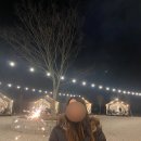 호랑이캠핑 이미지