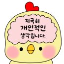 카페N.26