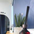 다듬어짐 이미지