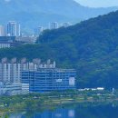 장학리노루목길(봄내길 8코스) Daum카페