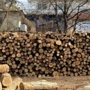 비슬산 참숯굴 찜질방 이미지