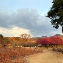 남평문씨본리세거지 주차장 안 이미지