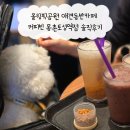 몽촌토성역 | 올림픽공원 애견동반카페 커피빈 몽촌토성역점 솔직후기