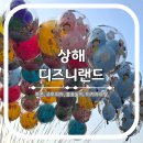 기린 캠프랜드 | 상해 디즈니랜드 : 트론 주토피아 불꽃놀이 즐기기