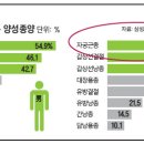 자궁근종 myoma uteri 이미지