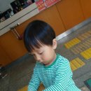 단월우체국 Daum카페