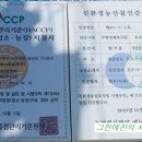 튼튼농장 이미지