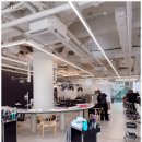 햇살애견미용실 이미지