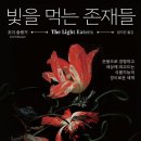 그늘과 빛의 기억  이미지