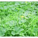 자라농장 이미지