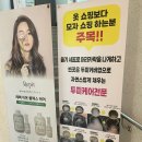 동해] 출산 후 탈모 고민으로 선택한 관리, 동해 에스엠피스튜디오 : 줄기세포 엑소좀 두피케어 솔직후기