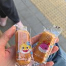 한여름밤의 강릉