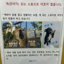안녕하세요.
