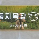 둥지목장 이미지