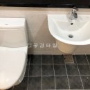 국화우성 이미지