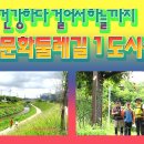 1도시