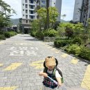 태신드림시티 | [육아기록] 김해 아가월드 몬테소리 수업후기 (4), 33개월 아기