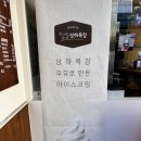 신디즈