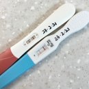 선보약국 이미지