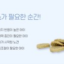 멍냥마트 - 남양주시 덕소로284번길 5-32 | 멍냥마트