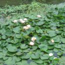 큰골농장 이미지