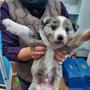 사산경로당 이미지