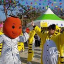 상주외남 곶감축제- 대한민국 곶감 대표 축제로 거듭나다 이미지