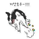 하루댕댕 이미지