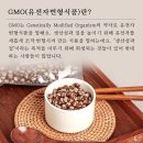 서울남부두레생협_보라매점 | 두레생협 에서 전해드리는 [두레이야기] GMO 없는 두레 식탁