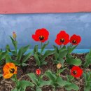 관창3리마을회관 이미지