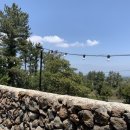 비자림라파 이미지