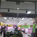 폴비락 한우리 숯불화로 충무공동 식육식당 후기