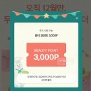 포인 이미지