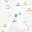 증산용인대태권도장 이미지