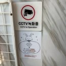다솜이벤트 | 가볼만한곳 청도가볼만한곳 경북실내동물원추천 알차고 유익한 설명으로 대만족한 다솜생태관청도점 후기