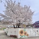 컴인PC방 | 봄 사랑 💗 벚꽃 피는 계절🌸