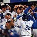 라이언스 하트 이미지