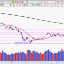 블루메드 이미지