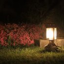 시골집 마당에서 오토캠핑 ( snowpeak + camping ) 이미지