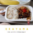 (주)게이트엔에스엔터테인먼트 | 인천-오카야마 대한항공 KE2185 탑승기｜특별기내식 한식채식·글루텐제한식 후기