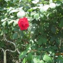 우덕식육식당 이미지