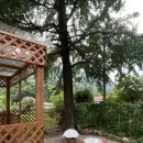 고당민박 | [하루한팀] 완주 고당펜션 후기