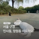 종로-신영-종로-영-212 | [서울] 늘 짜릿한 서울구경 - 로맨틱무브 홍대점, 망원동, 젤로데이 악세서리, 인사동, 여의도 IFC...