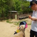 승민목장 이미지