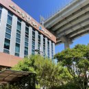 파동도서관 이미지