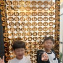 회원동222 이미지