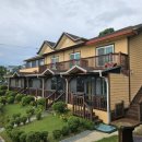 들꽃이 있는 바다 이미지